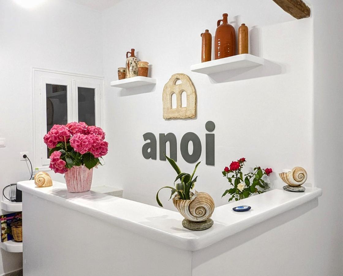 Anoi Rooms Wyspa Wyspa Tinos Zewnętrze zdjęcie